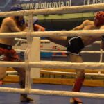 Mistrz Polski w Kickboxingu